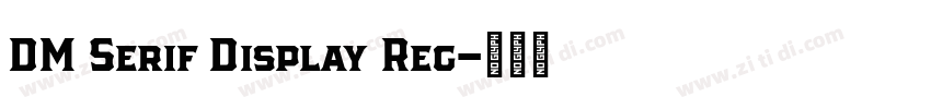 DM Serif Display Reg字体转换